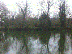 PEG 64 Pictures
